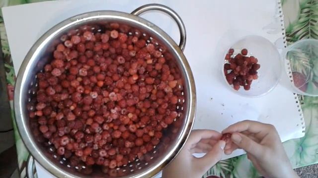 Обрабатываем малину собранную в лесу. ОБРАБОТКА ЯГОД 2022 смотреть онлайн