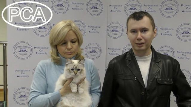 Программа поддержки заводчиков PCA смотреть онлайн