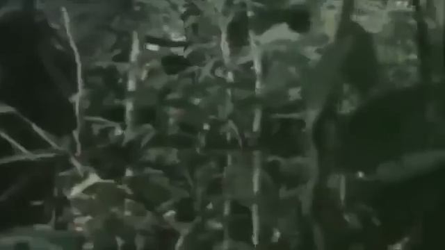 LITO LAPID - FULL TAGALOG ACTION MOVIE