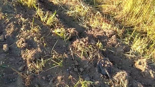 В поисках "КЛАДА" Выход на коп в старый огород. смотреть онлайн