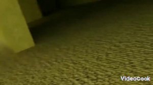 MAXWELL CAT AND BACKROOMS | МАКСВЕЛЛ КОТ И ЗАКУЛИСЬЕ  | ОБЗОР