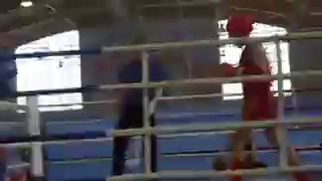 Чемпионат и Первенство ЦФО и СЗФО России по тайскому боксу смотреть онлайн