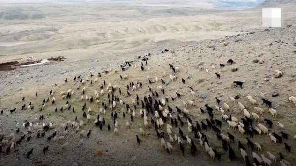 Чуйский тракт: красоты по пути к Монголии | NGS.RU