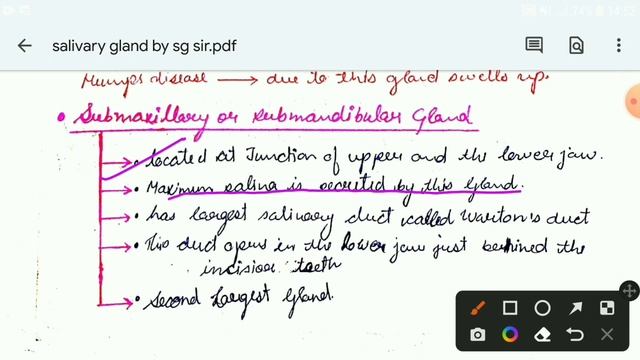 anatomy and function of salivary gland || salivary gland Anatomy and physiology in hindi #salivary смотреть онлайн