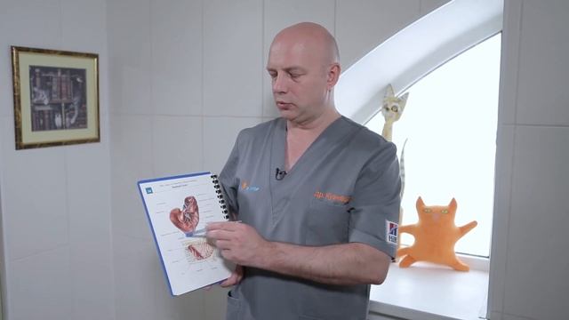 Печень Мухи смотреть онлайн