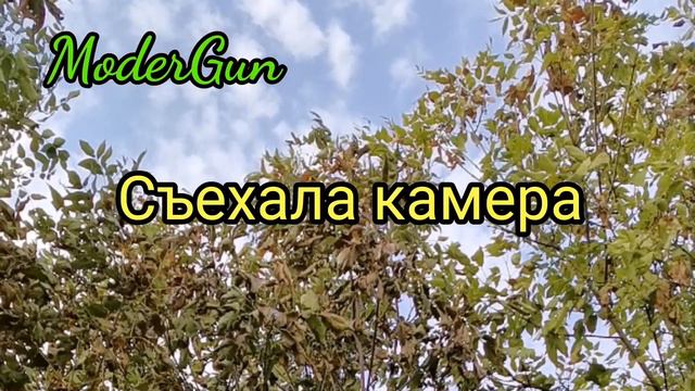 ModerGun/Test Sound Moderator/EDgun Leshiy1/AirGun PCP смотреть онлайн