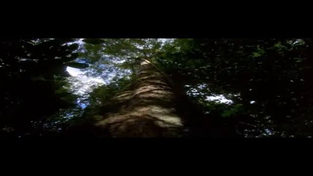 VICTORIA STOIANOVA & SERGEI SMELOV "БЕЛОЙ АКАЦИИ"... смотреть онлайн