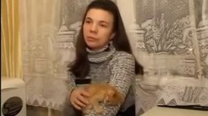 Лишай у кошек  Как лечить лишай у котов  причины, симптомы, профилактика