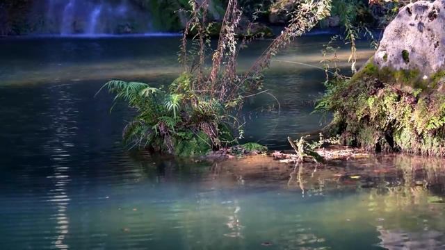 СЕНСАЦИЯ ПРО ПОБИРУХУ! ДЕРЕВЕНСКИЙ ДНЕВНИК ОЧЕНЬ МНОГОДЕТНОЙ МАМЫ! #ДеревенскийДневник смотреть онлайн