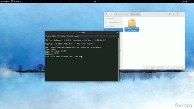 Instalacion de Oracle XE en Fedora 26 смотреть онлайн