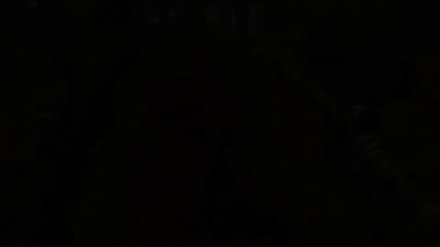 Fable Первый поход героя #2 смотреть онлайн