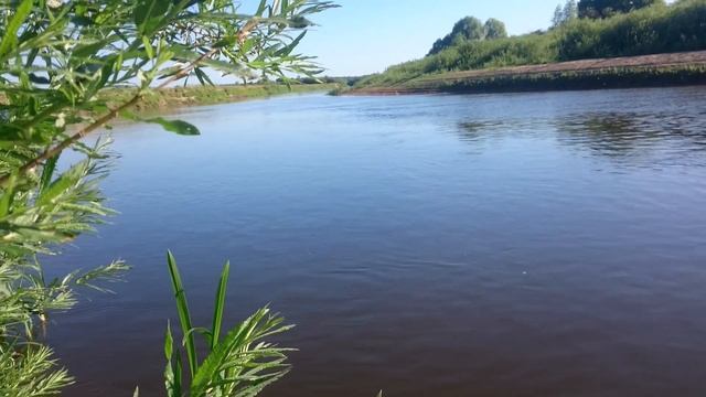 Jackall Chubby и Salmo Minnow. Два воблера сделали рыбалку! смотреть онлайн