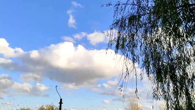 День Казанской иконы Божией Матери. (4 ноября) смотреть онлайн