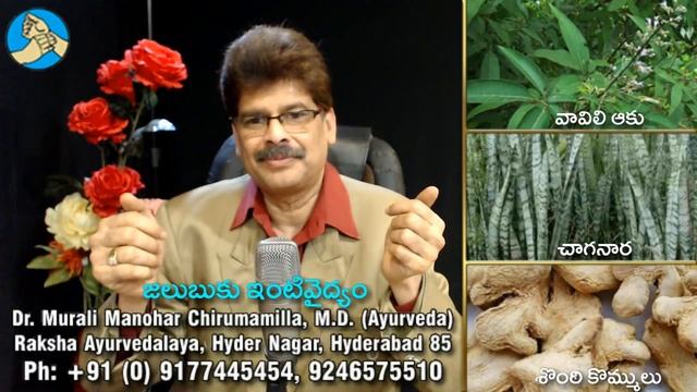 జలుబుకు సులువైన ఇంటివైద్యం. Household Remedies for Common Cold (in Telugu) смотреть онлайн