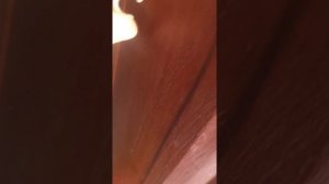 Если провисла дверь