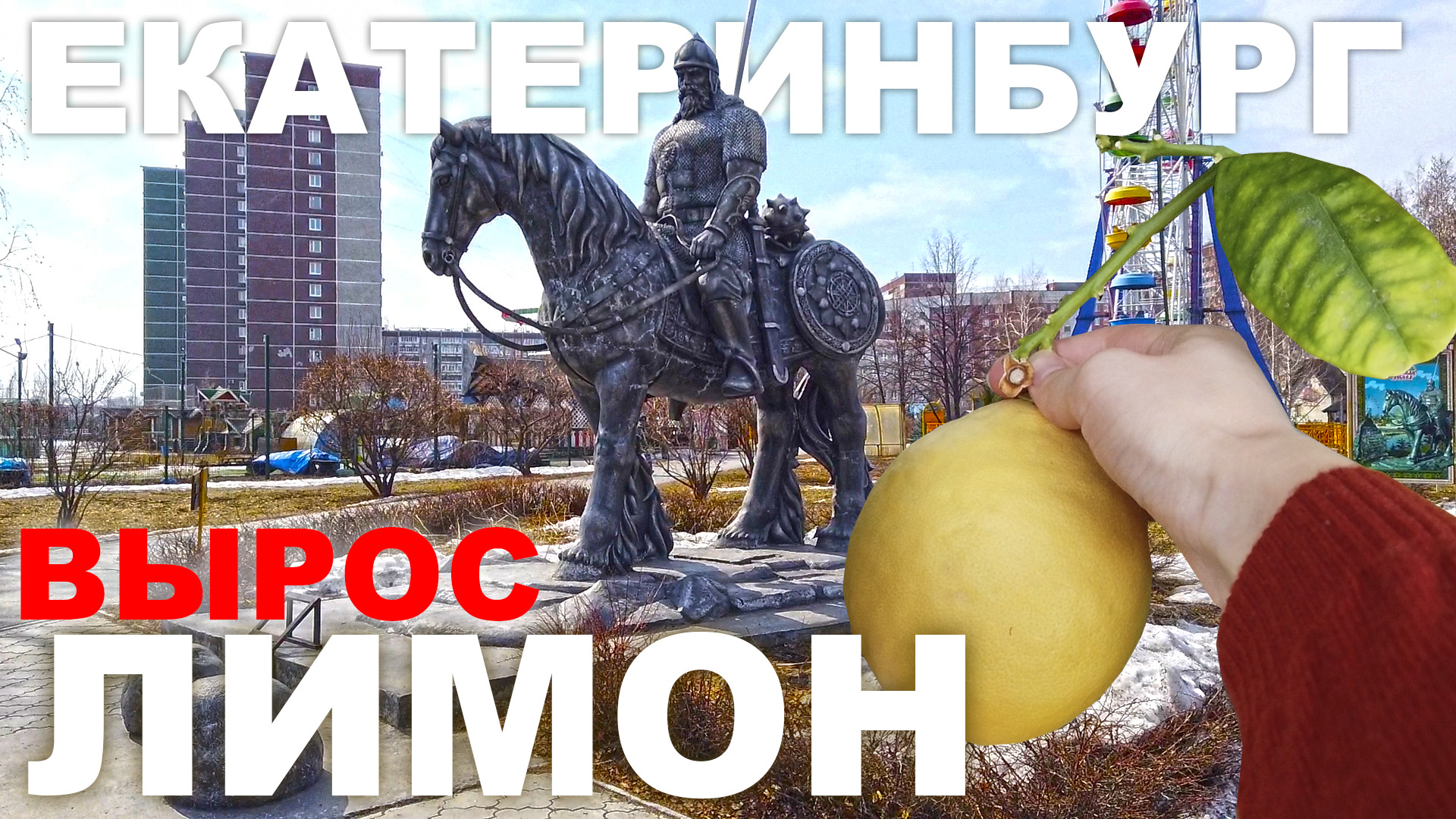 Вырастили лимон в Екатеринбурге. Общение с вороном в Таганской слободе. Супер парк и хорошая погода смотреть онлайн