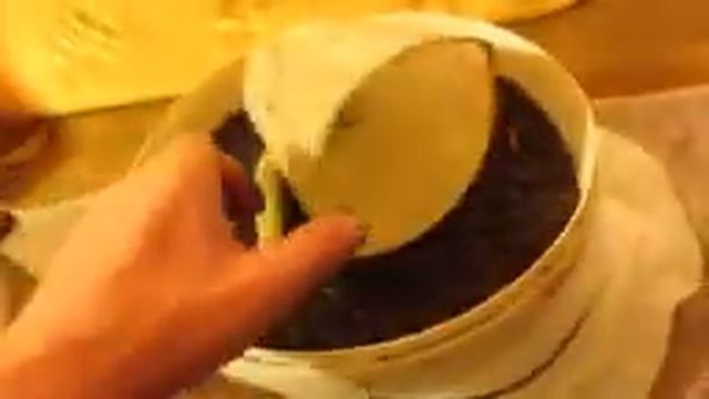 ГРУНТ ИЗ ОПИЛОК смотреть онлайн