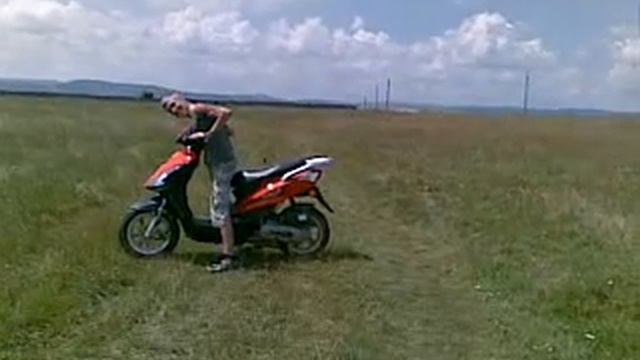 scoot wasp смотреть онлайн