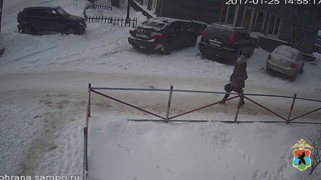 МВД Карелии опубликовало видео предполагаемой мошенницы, обманывавшей пенсионеров смотреть онлайн