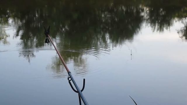 Поймал крысу на рыбалке! смотреть онлайн