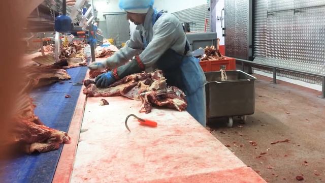 Обвалка говяжьей лопатки смотреть онлайн