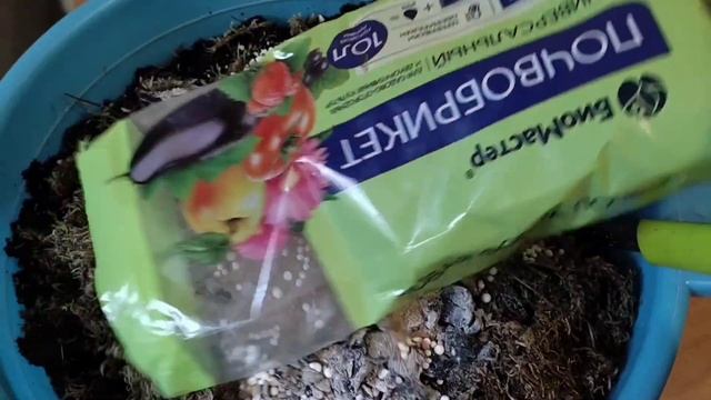 Намешиваю грунт для комнатных растений. смотреть онлайн