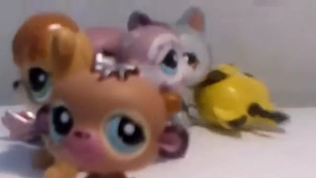 Клип "I can't decide" смотреть онлайн