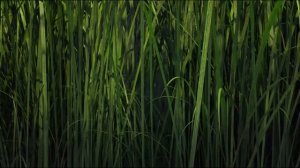 Мир Юрского Периода: Меловой Лагерь RYTP №6 !СПОЙЛЕРЫ!