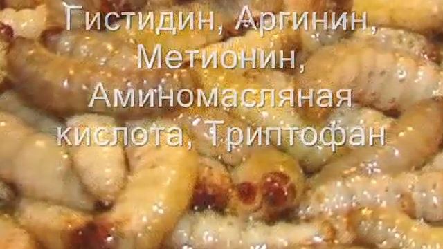 ВОСКОВАЯ МОЛЬ, ПЧЕЛИНАЯ ОГНЁВКА СОСТАВ!!! ЛЕКАРСТВО 21 ВЕКА! смотреть онлайн