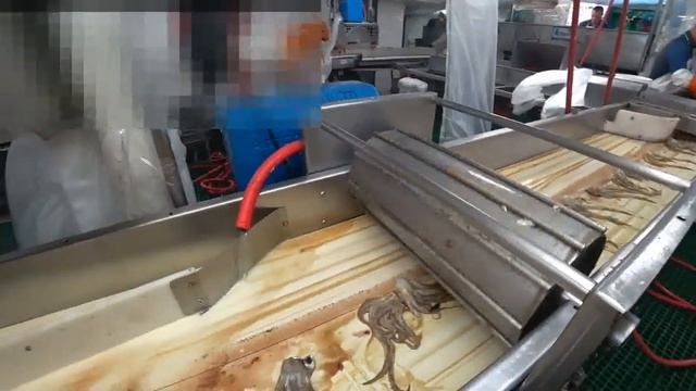 Разделка кальмара, технологический процесс (часть 2) Cutting squid, technological process (part 2) смотреть онлайн