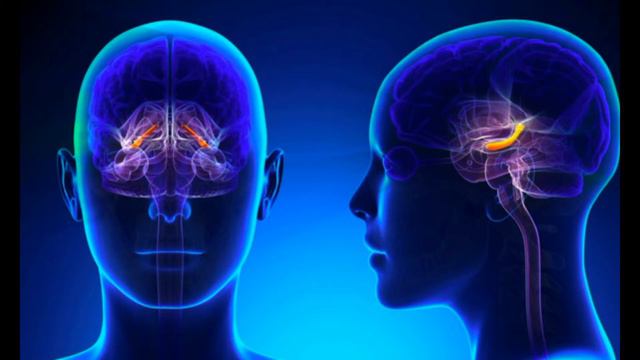 Дыхание Праной и её значение в Жизни Человека смотреть онлайн