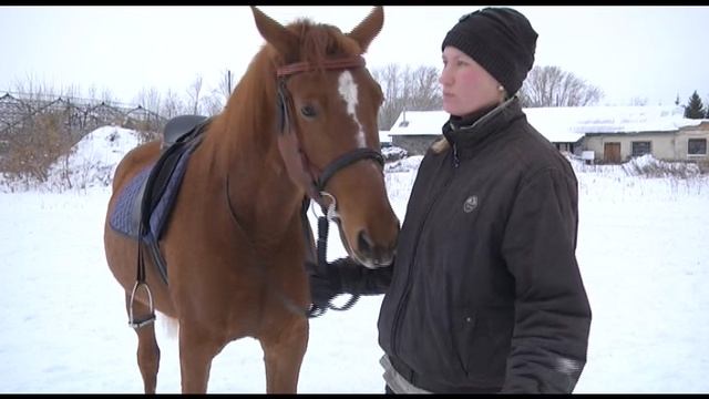 Кентавр_будни клуба