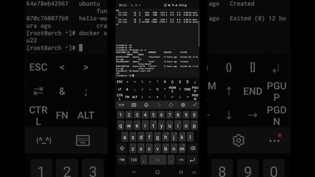 running LXC container and running docker on termux on the android phone смотреть онлайн