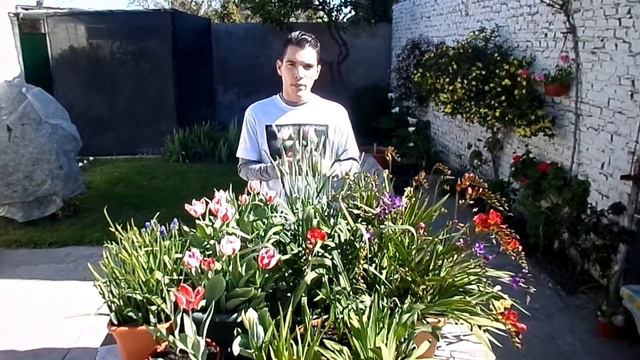 Cultivo de bulbosas de ciclo otoño-primaveral смотреть онлайн