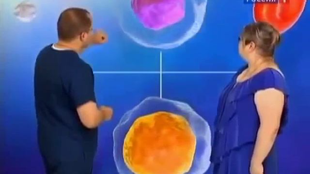 Хитозан польза для человека Природный целитель смотреть онлайн