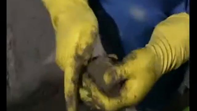 PENEKRIT смотреть онлайн