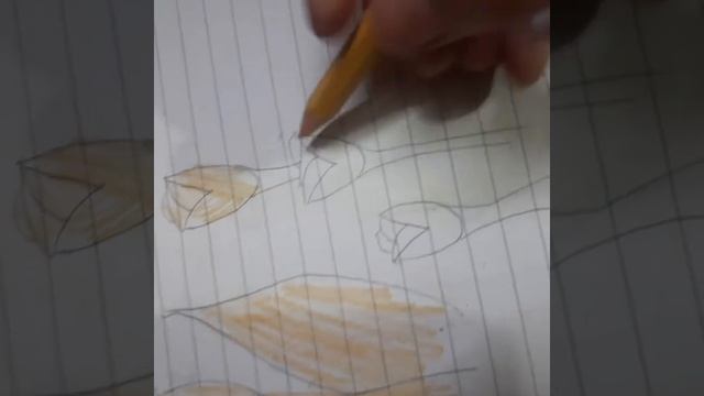 how to draw a tulip with coloure pencil❤?/twin drawing and craft смотреть онлайн