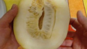 Огурдыня это северная дыня. Два в одном. Очень вкусно и полезно.