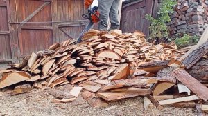 Бензопила Брайт