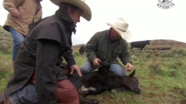 Jamie's American Road Trip 6