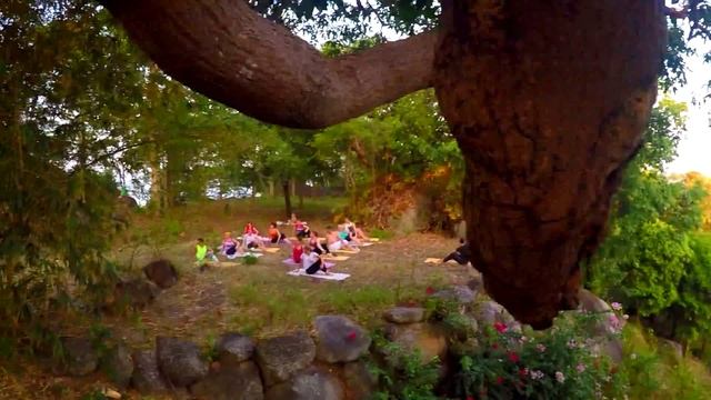 Йога на холме рядом с отелем SatvaSamui смотреть онлайн