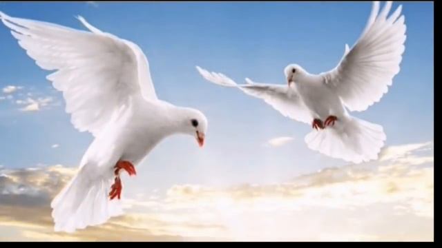 || Biswa Pita Tumi Hai Prabhu || Jishu Best - Child voice Song смотреть онлайн