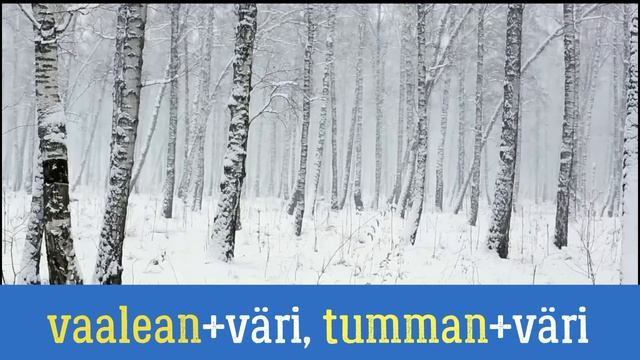 ФИНСКИЙ ЯЗЫК | ЦВЕТА смотреть онлайн