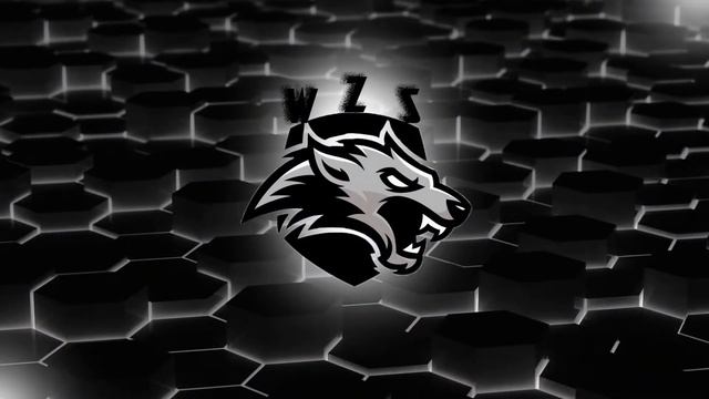 STREAM CSGO/GO TOGETHER смотреть онлайн