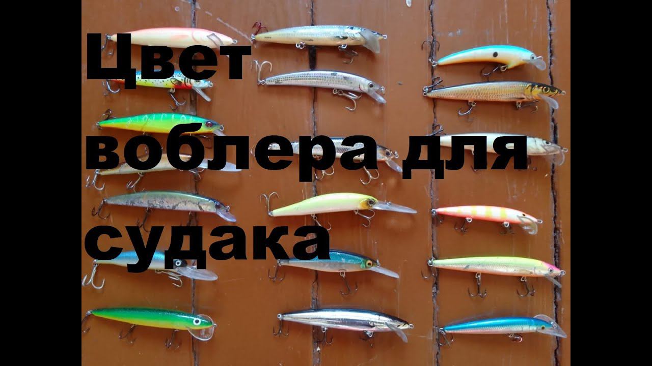 Цвет воблера для верхового судака смотреть онлайн