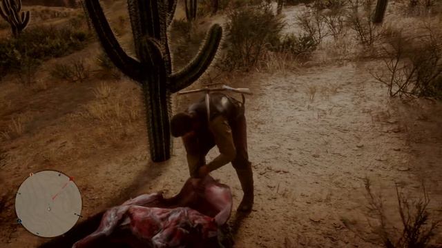 Puma hunting for money Red dead online смотреть онлайн