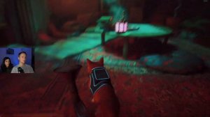 Kraig Adams Plays Stray - Part 3 (Final)