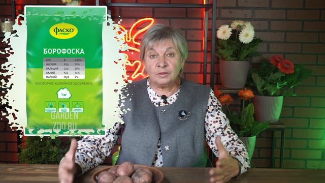 Почему картофель мелкий ✔️ Как вырастить большой картофель смотреть онлайн