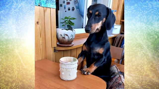Поделки своими руками смотреть онлайн