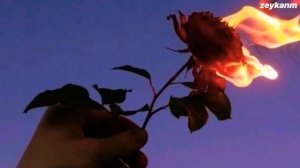 Ты не любишь розы, окей я нарву тебе цветов со всех полей